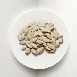 حب الكوسا